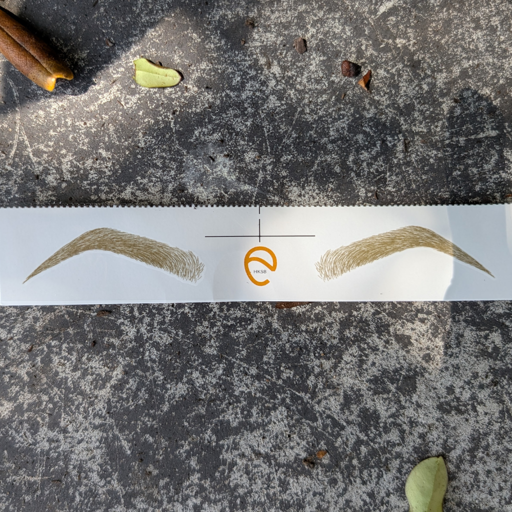 Temporary Eyebrow Tattoos High Arch Blonde